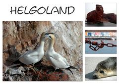 Helgoland-Impressionen