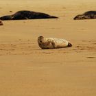 Helgoland Island Chillout Session