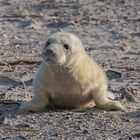 Helgoland Januar 2017