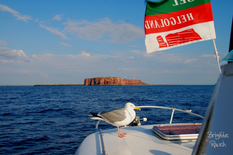 Helgoland kommt in Sicht !