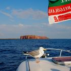 Helgoland kommt in Sicht !