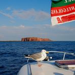 Helgoland kommt in Sicht !