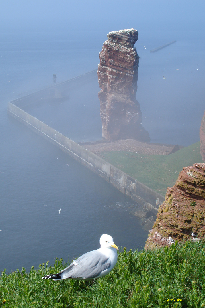 Helgoland - "Lange Anna"