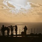 Helgoland - Westklippen - Sie lauern auf das ultimative Bastölpel-Foto