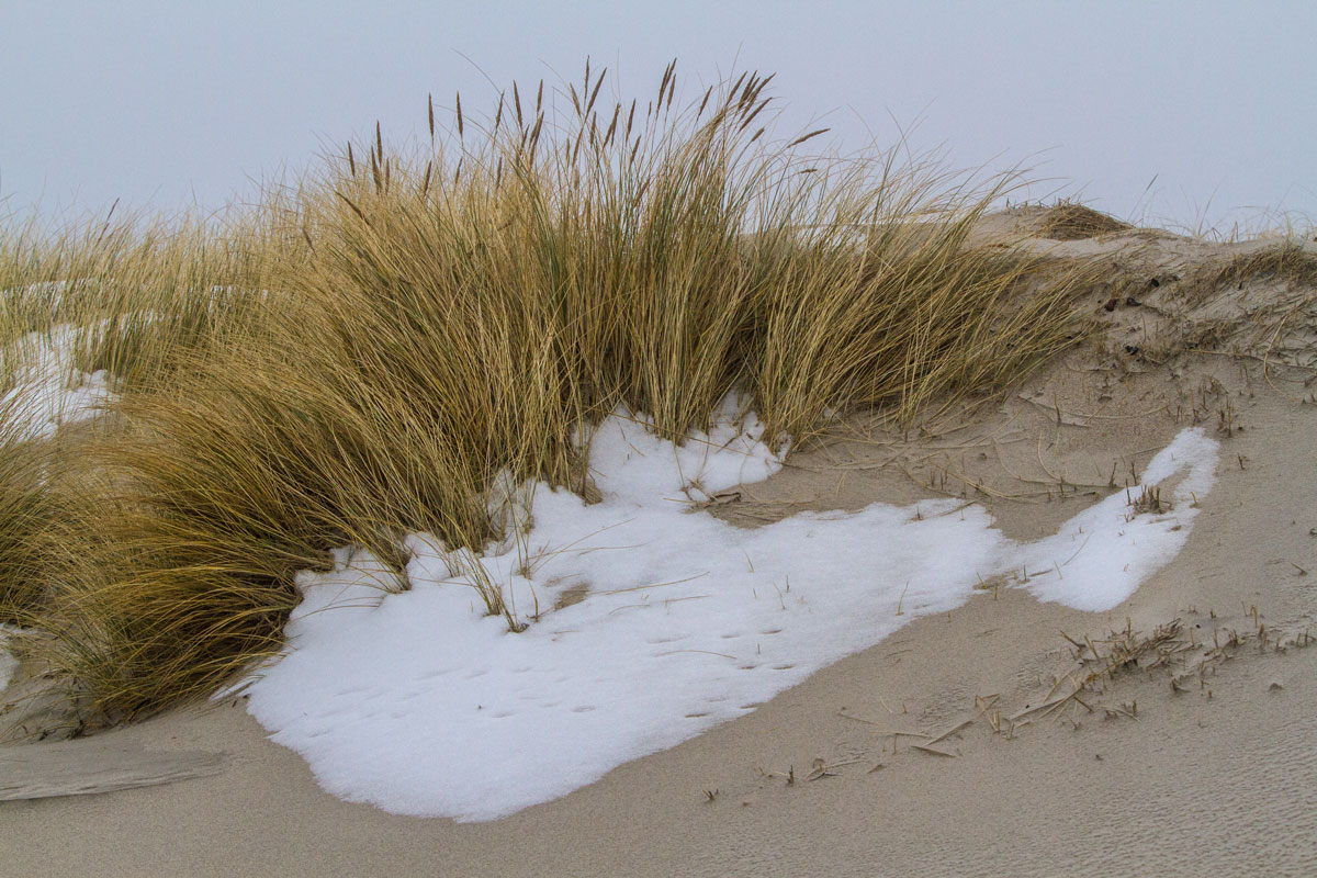 Helgoland Winter 2013