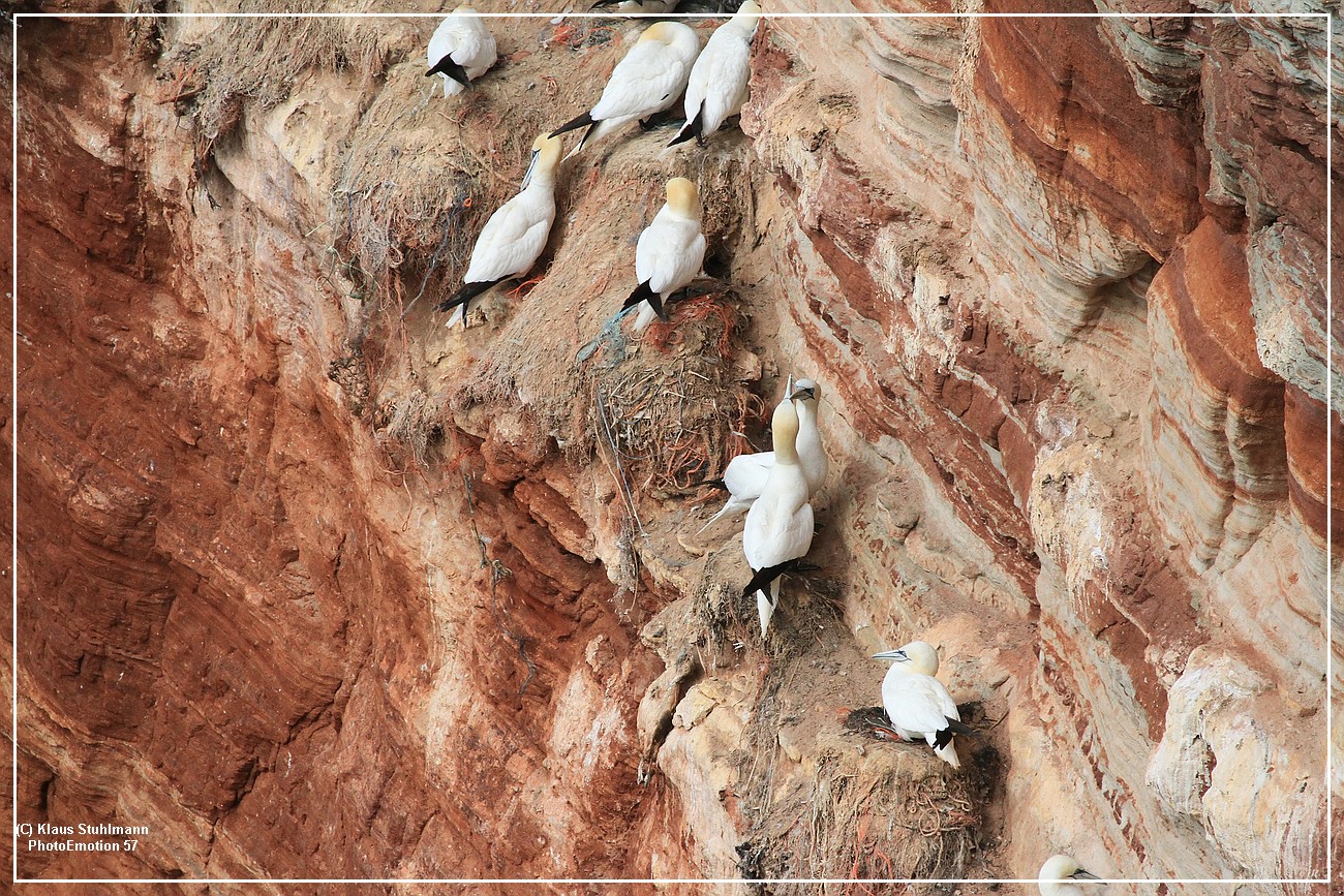 Helgoland002