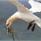 Helgoland004