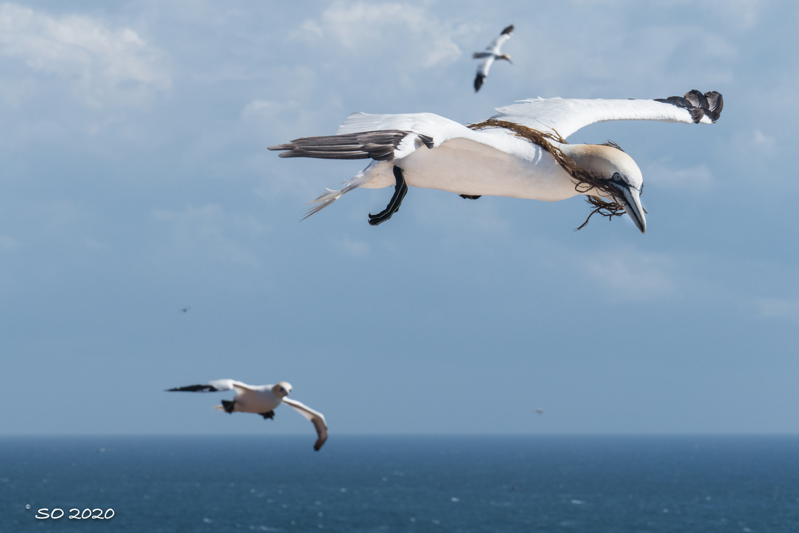 Helgoland_3