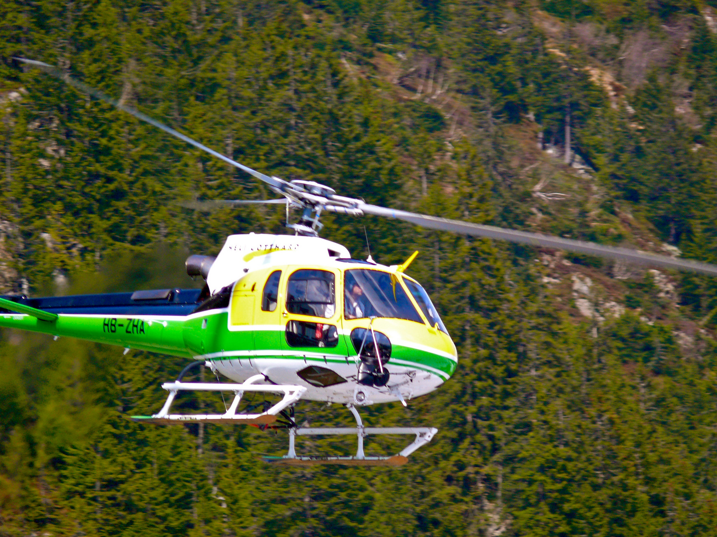 Heli Gotthard