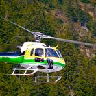 Heli Gotthard