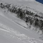 Heliboarden in Lapland