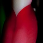 Heliconia, sinnliche Blüte 04