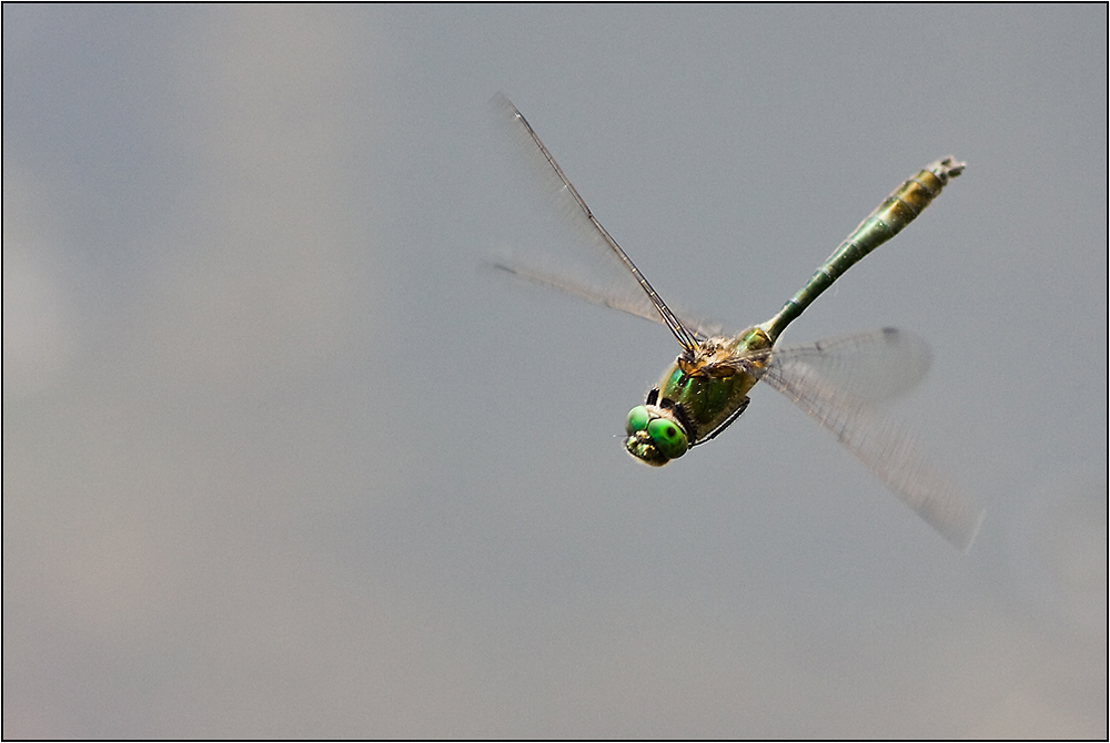 Hélicoptère.