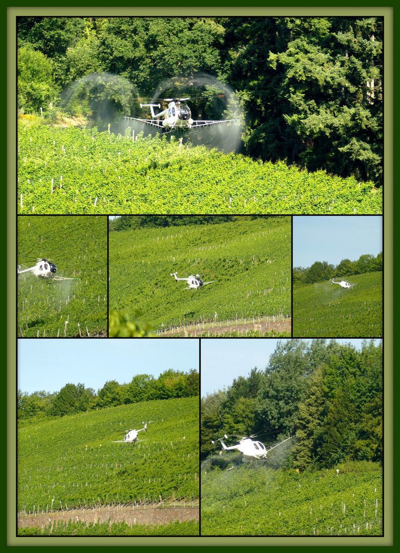 °°°° Helikopter im Weinberg °°°°