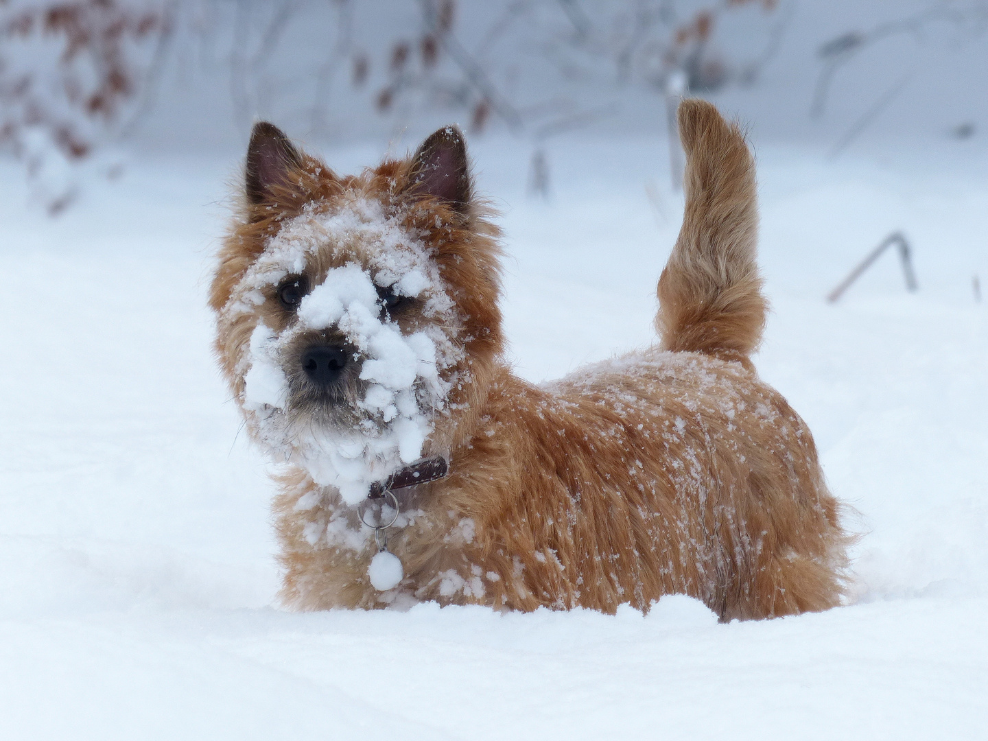 heliott et la.........neige