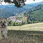 Heliott fait son beau en Ardèche, sur le fond le Mont Gerbier de Jonc 