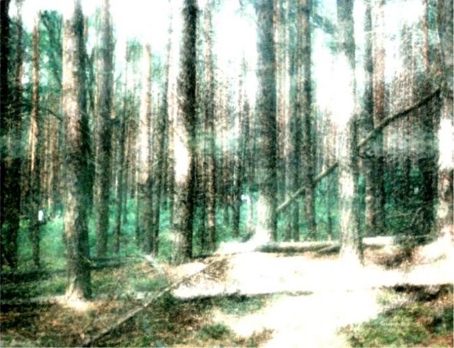 Hell, Dunkel, Wann, Wo? Foto &