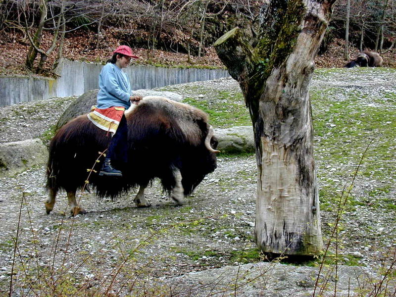 Hellabrunn 15.04.00 0121