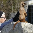 Hellabrunn - Ausflug mit Emil