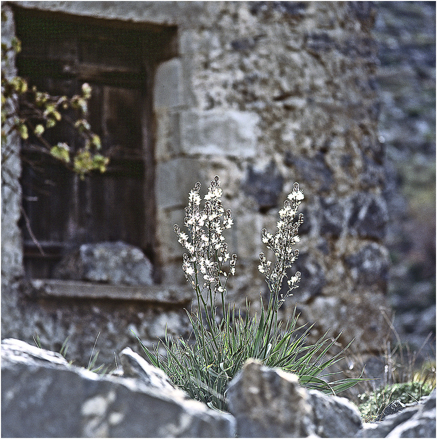 HELLAS - KRETA - SÜDWESTEN - "VERGÄNGLICHKEIT"