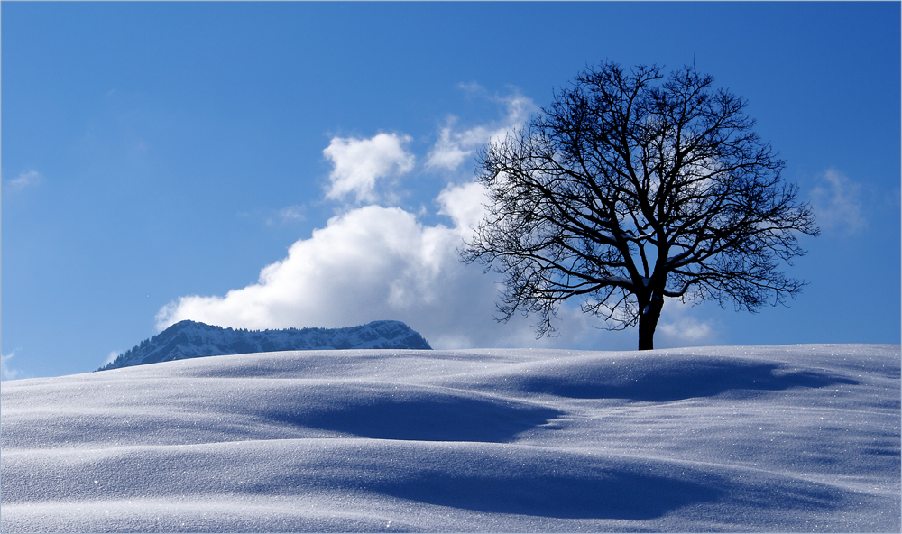 Hellblaue Träume