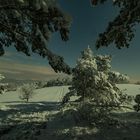 Helle Mondnacht in der verschneiten Eifel