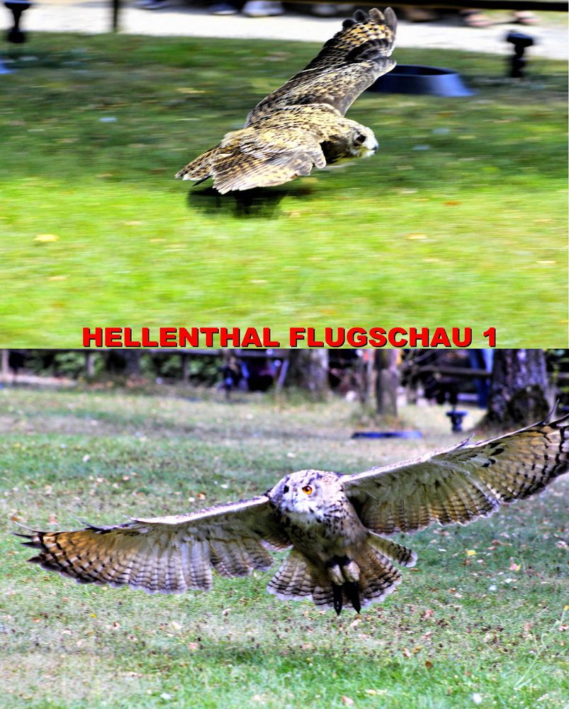 HELLENTHAL FLUGSCHAU 1