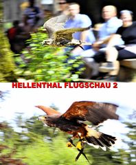 HELLENTHAL FLUGSCHAU 2