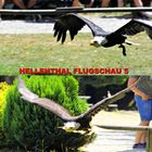 HELLENTHAL FLUGSCHAU 5