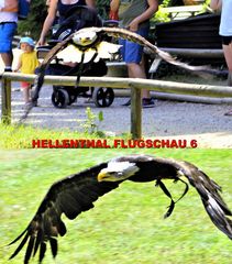 HELLENTHAL FLUGSCHAU 6