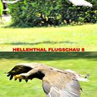 HELLENTHAL FLUGSCHAU 8