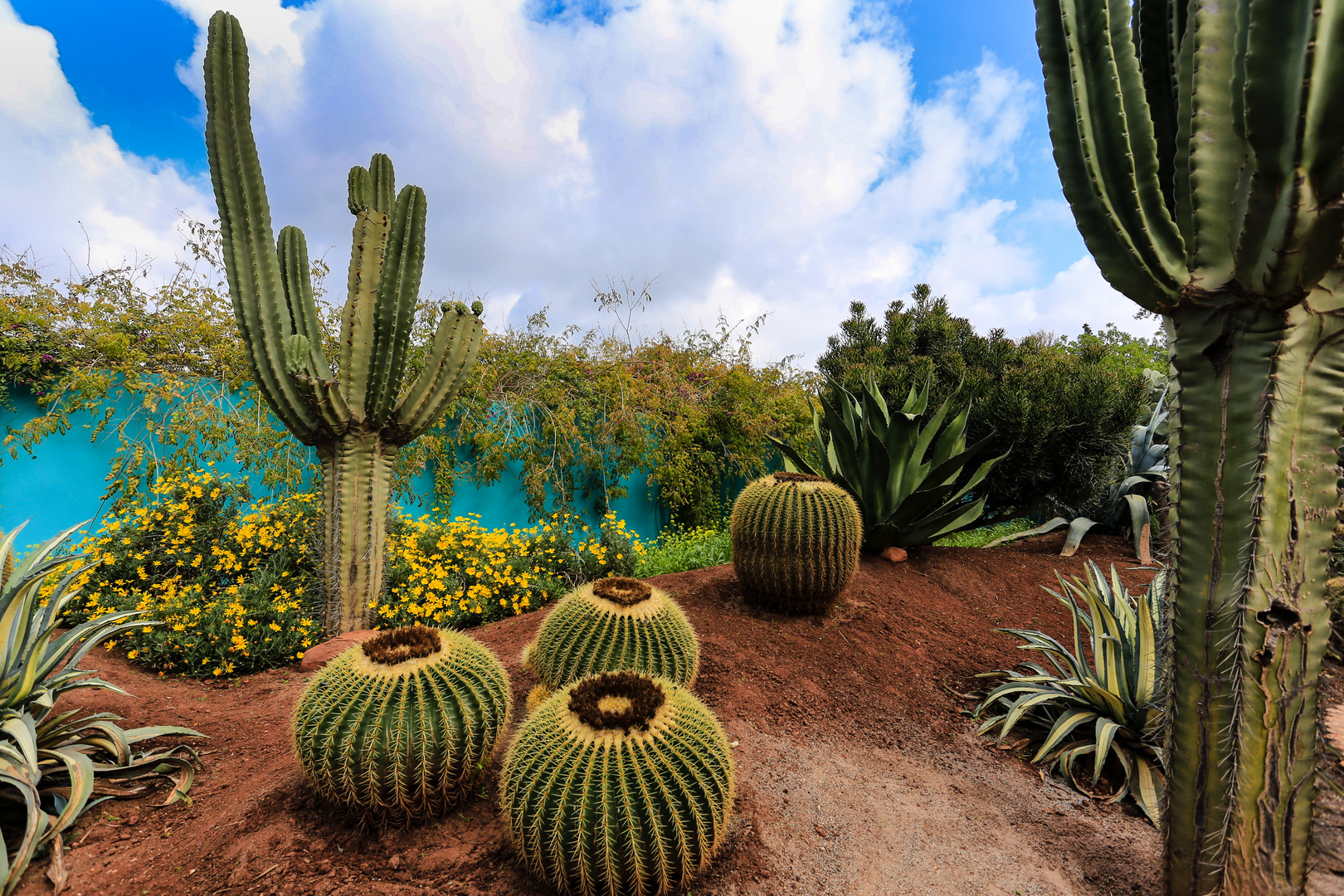 heller garten marrakesch