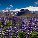 Hellissandur - Snæfellsnes