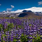 Hellissandur - Snæfellsnes