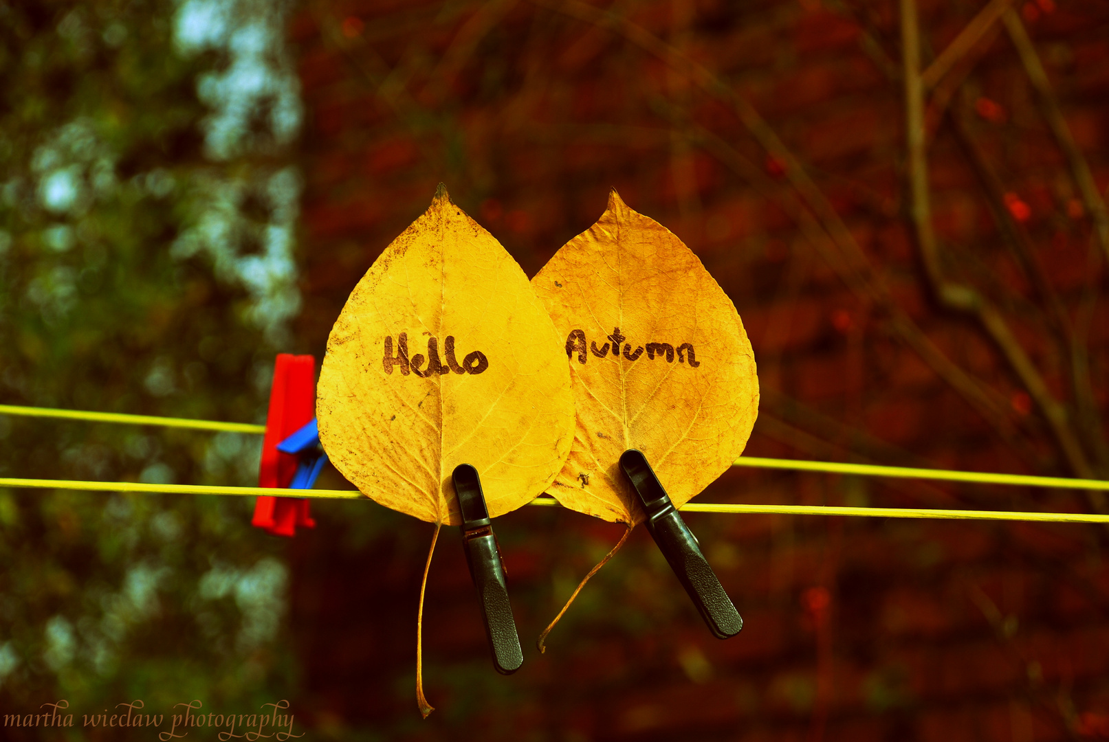 ...hello autumn...