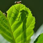 Hello - die Saison ist eröffnet!