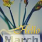 Hello March!