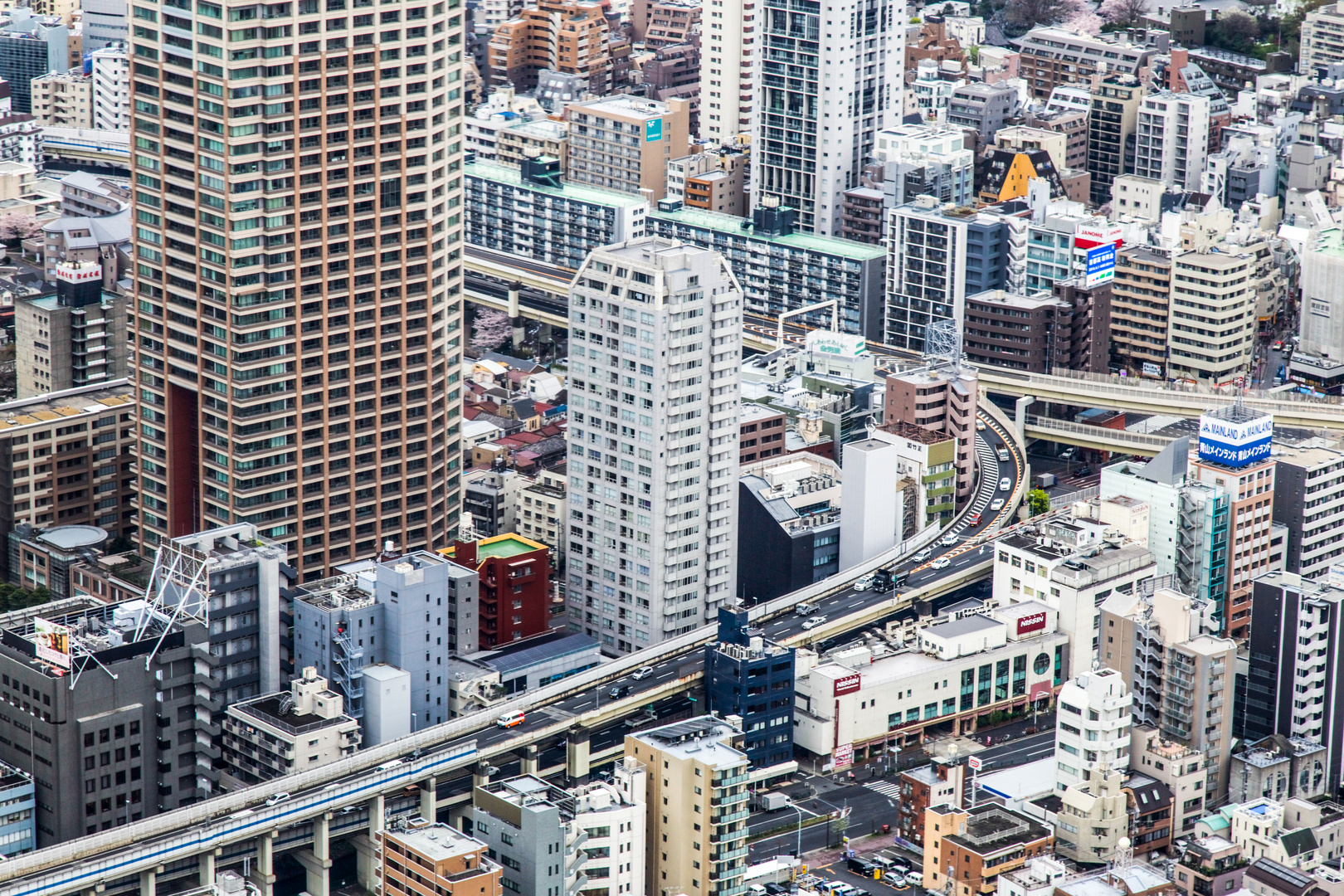 hello Tokyo!