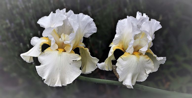 ...Hello, vive l'été...;-)