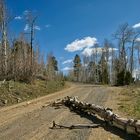 Hells Backbone Road #2