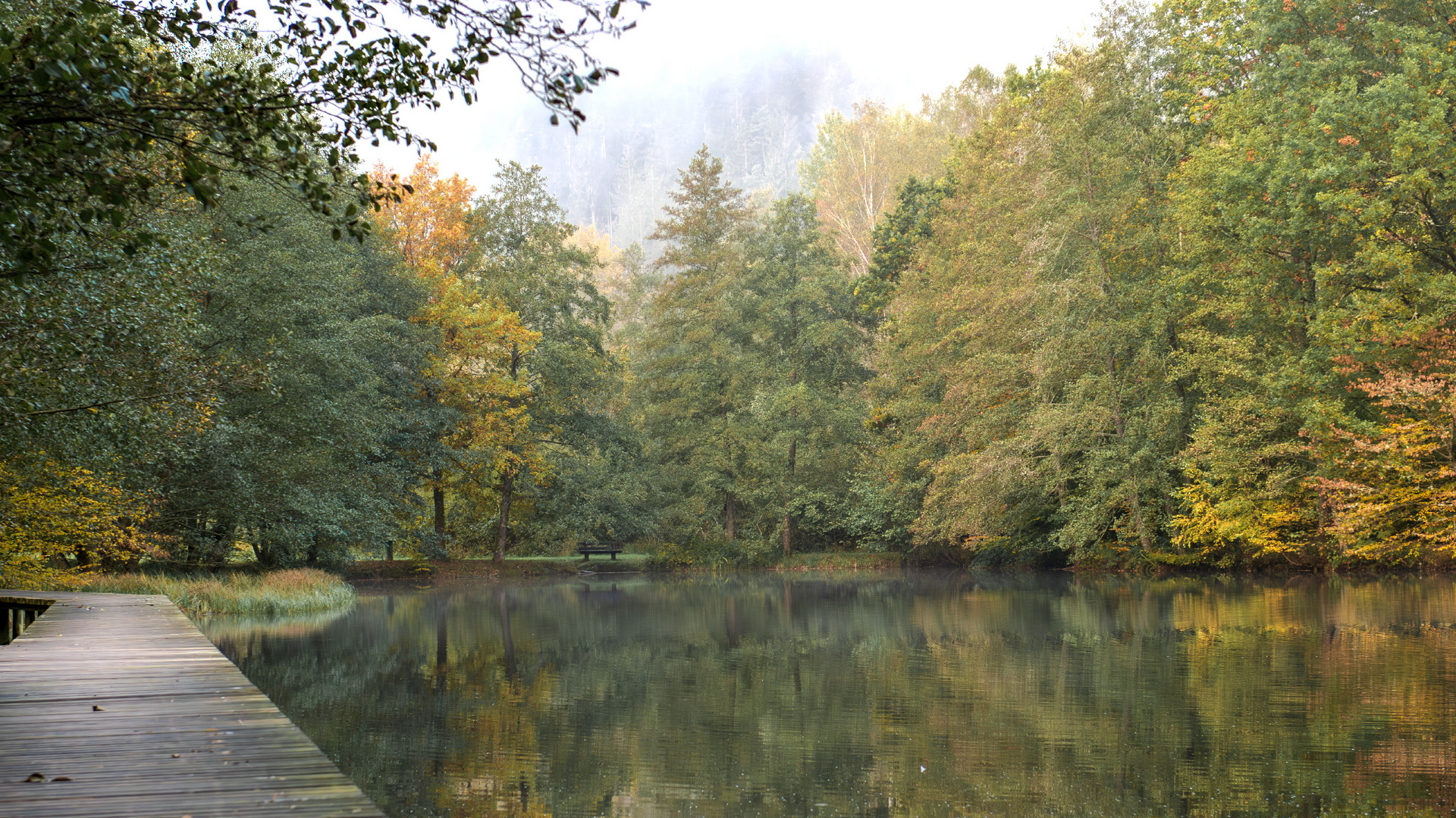 Helmbachweiher