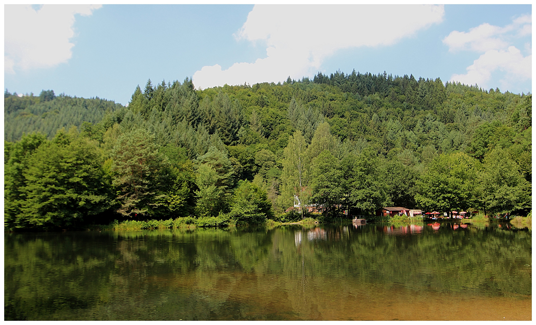 Helmbachweiher im Sommer