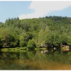 Helmbachweiher im Sommer