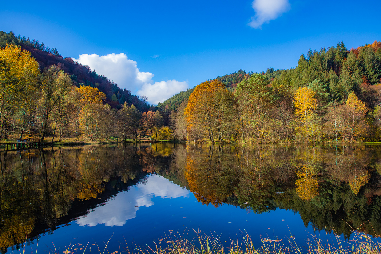 Helmbachweiher im Spätherbst