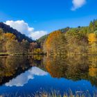 Helmbachweiher im Spätherbst