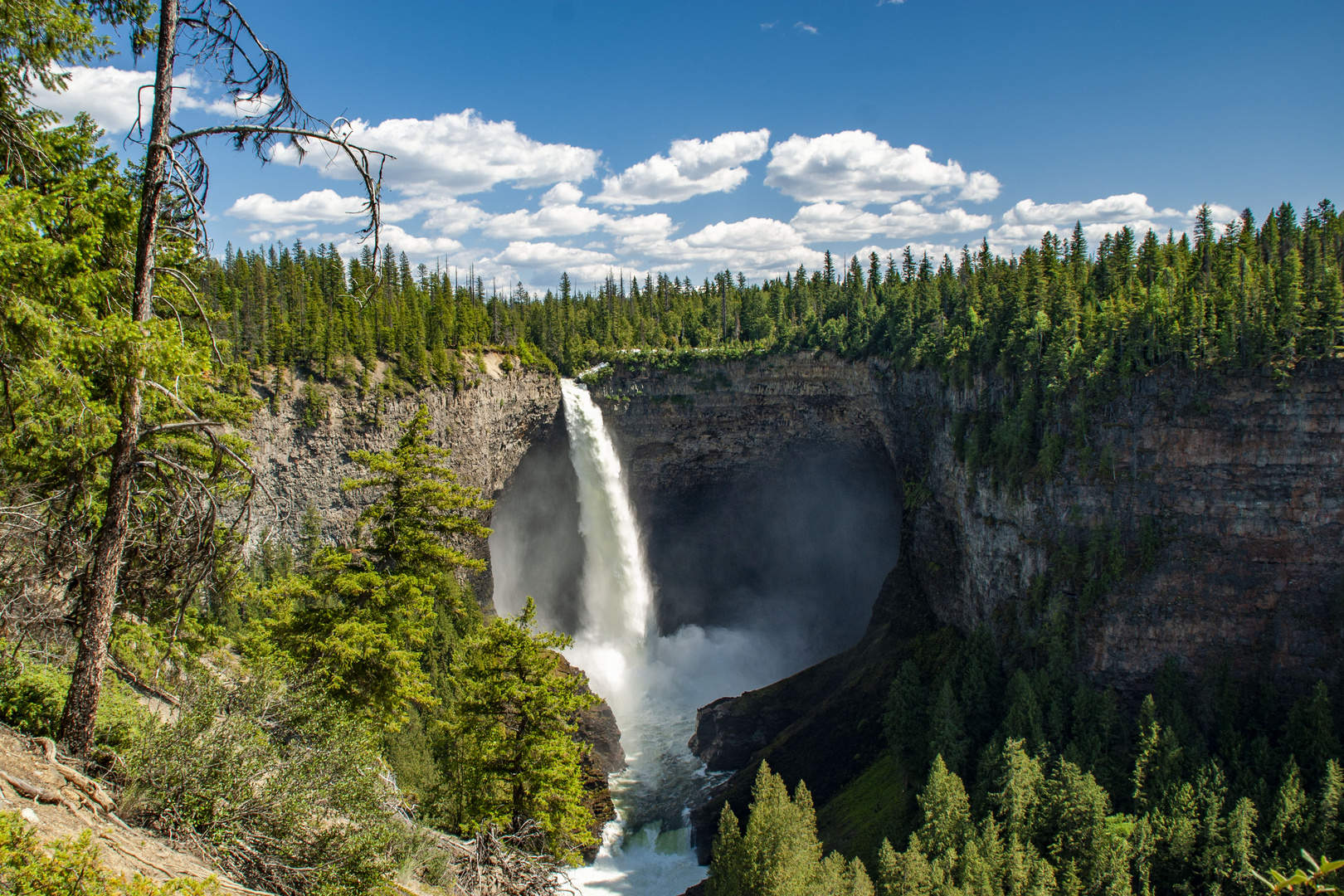 Helmcken Fall