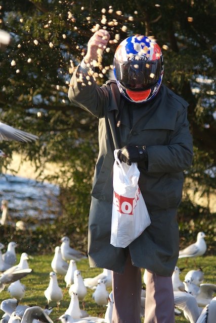 Helme schützen!