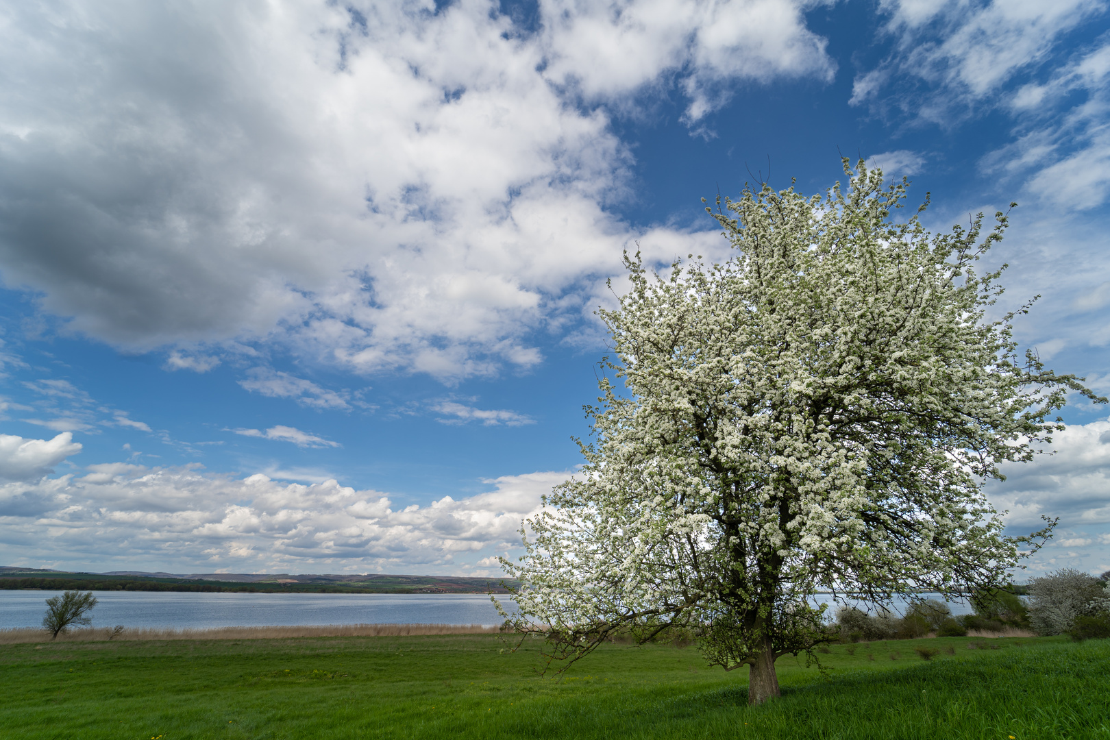 Helme-Stausee Kelbra