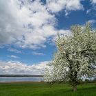 Helme-Stausee Kelbra