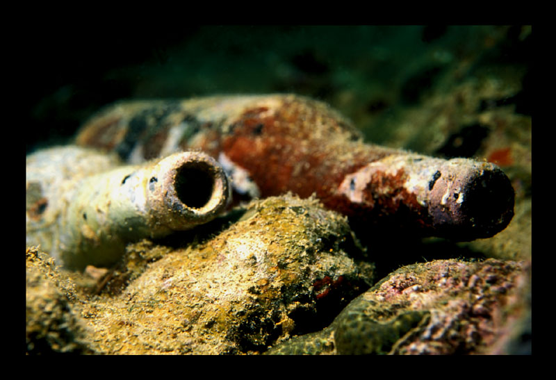 Helmet Wreck Palau